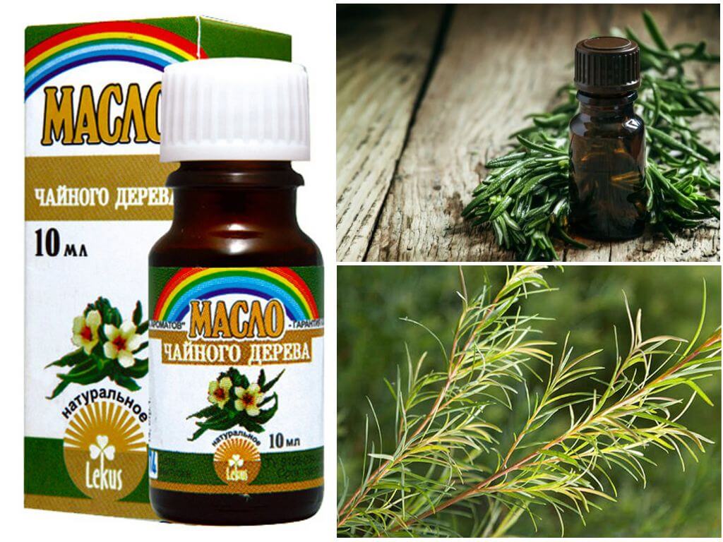Масло чайного дерева