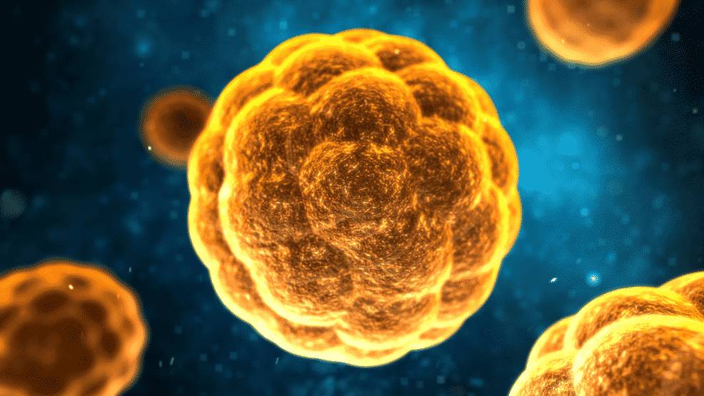 Вирус гепатита А