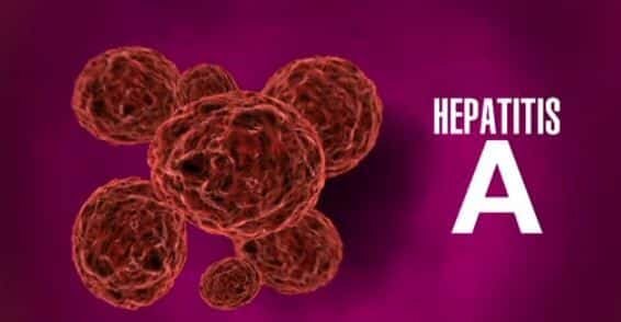 Пути заражения вирусом гепатитом А