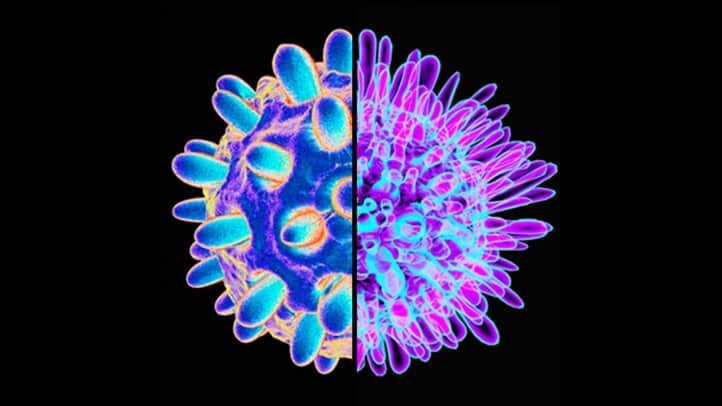 Пути передачи гепатита В и С