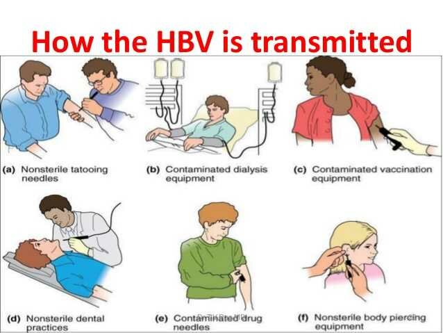 Пути передачи гепатита В