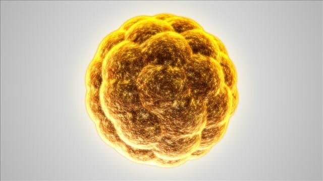 Вирус гепатита А