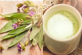 Шалфей с медом от кашля